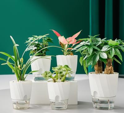 China New Modern Lazy Plant Automatic Water Absorbing Design Plastic Feeling Transparent Flowerpot Water Basin Cultivation Apparatus for sale