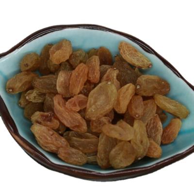 China High Quality Dried Golden Raisin Whole Sale , Top Grade Raisin for sale