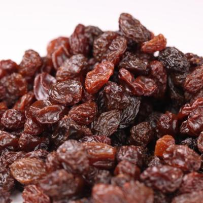 China Xinjiang Wholesale New Culture Dried Healthy Sultana Raisin for sale