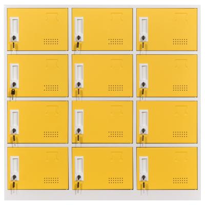 China Hot Sale 12) Adjustable Door Locker (Other) Steel Staff Work (Clothes Locker Storage School Locker for sale