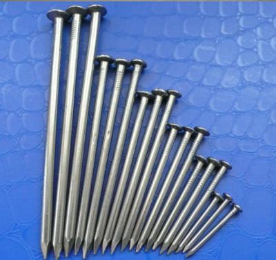 China steel joint nails/nail, wire joint nail, iron joint nails for sale