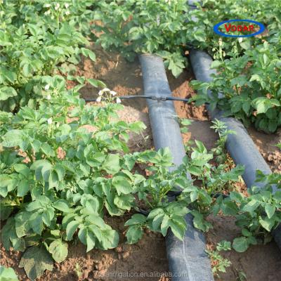 China Hot-selling Farm Irrigation Vodar Agriculture Drip Tape With Flat Drip Device for sale