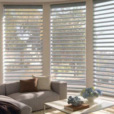 China Pure Shangri-La Minimalist Horizontal Roller Blinds 100% Polyester Blinds Triple Shade for sale