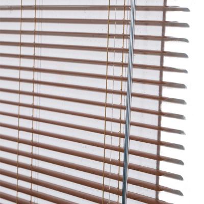 China Outdoor Motorized Slat Adjustment Day Night Roller Shutters Horizontal Venetian Blind for sale