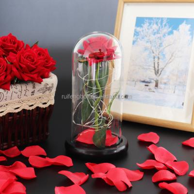 China New Europe Design Beauty and the Beast Rose In Glass Dome Preserved Rose With Wooden Base For Gift for sale