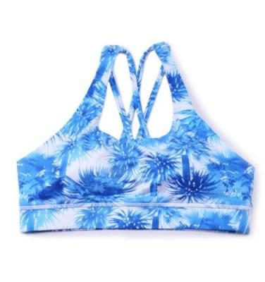 China Plus Size Hot Sports Bras for sale