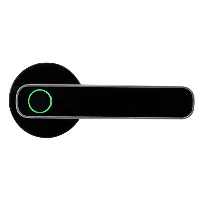 China Outdoor Modern Single Easy Double Sided Outdoor Keyless Biometric Smart Lock Black Small Lever Door Handle Latch for sale