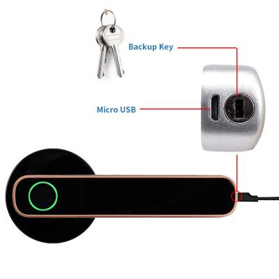 China Durable Using Low Price Biometric Fingerprint Smart Door Lock Digital Data Entry Work Home Door Lock L1 for sale