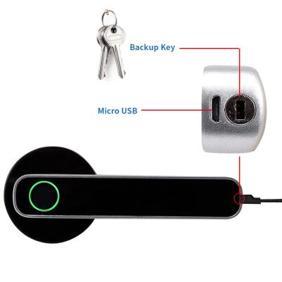 China Various Security Factory Sale Anti Theft Smart Door Lock Fingerprint Electric Door Locks For Front Door L1 for sale