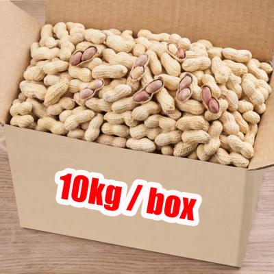 China Whole Box Whole Box Crunchy Peanuts OEM Low Salt Dehydrated Crispy Dried Fruit Vegetables for sale