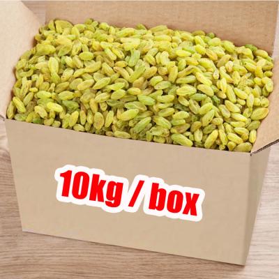 China Canned OEM Xinjiang Big-Grain Raisin Snack Box Fruit Canned Whole Seedless Dried Fruit Food for sale