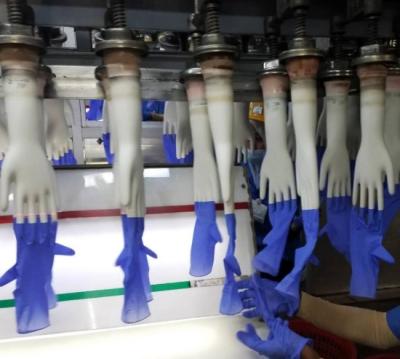 China Hotels Surgical Gloves Machine for sale