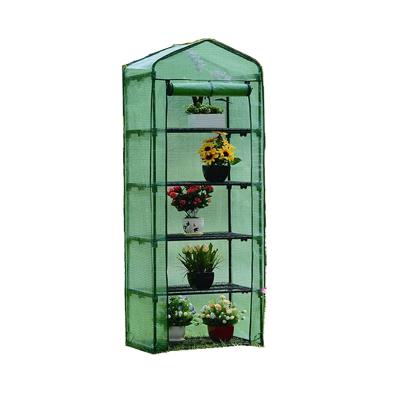 China 5 tier greenhouse mini garden house PE Greenhouse for sale