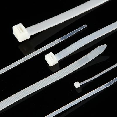 China 4.8*550mm Nylon Nylon Cable Tie with Ring Hook Wire Accessories Cable Tie Plastic Zip Tie for sale