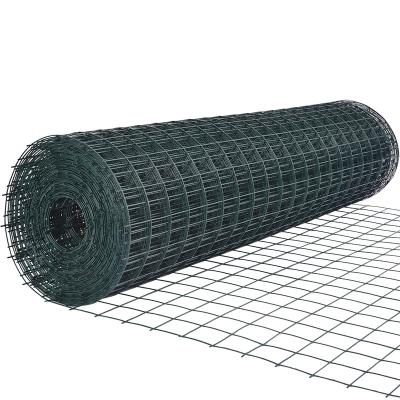 China Plain Weave Holland Poultry Netting Hardware Cloth Farm Fence for sale