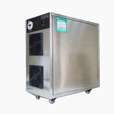 China China car manufactures commercial industrial 10g ozone ozone generator ozone purifier machine for sale