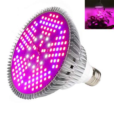 China Agriculture LED Plant Grow Light LED Lamp For Indoor Plants for sale