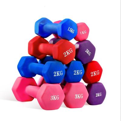 China Custom Logo Quality Dumbbell Gym Equipment Group Training Course Dumbbell for sale