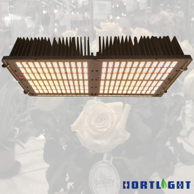 China Seed Starting Hortlight 650W Led To Grow Light Full Spectrum And Dimmable For And Greenhouse for sale