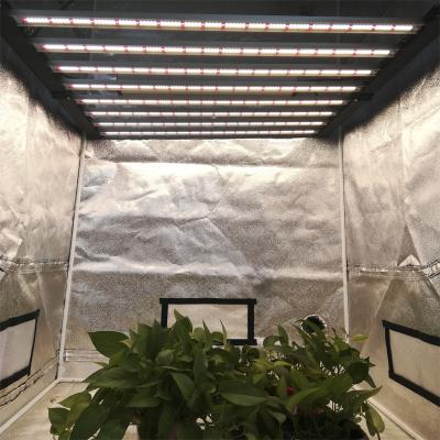 China Seed Starting 1700e 8 Bar Strip Led To Grow Light - Horticulture Grow Lights Full Spectrum for sale