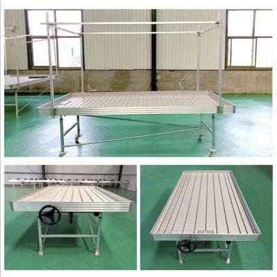 China Easily Assembled 4ft X 8ft High Quality Rolling Bench For Growing To Stretch Mobile Benches In Greenhouse And Hydroponics for sale