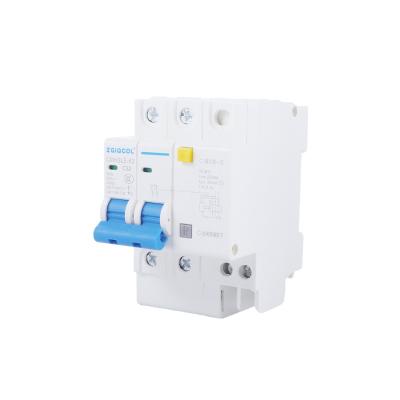 China Low Price 6KA Leakage Circuit Breaker 2P 32A 40A 63A Good Looking for sale