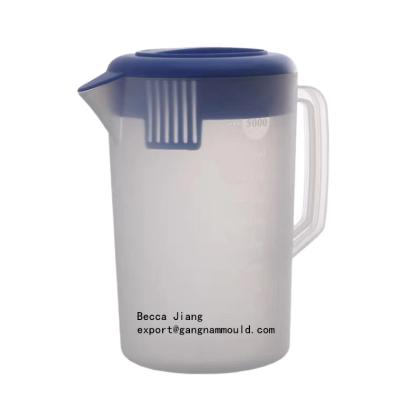 China TAIZHOU China Steel Plastic Jug Mold Injection Mold Supplier for sale