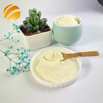 China Health Care Hot Sale Royal Jelly White Milkly Fresh Powder for sale