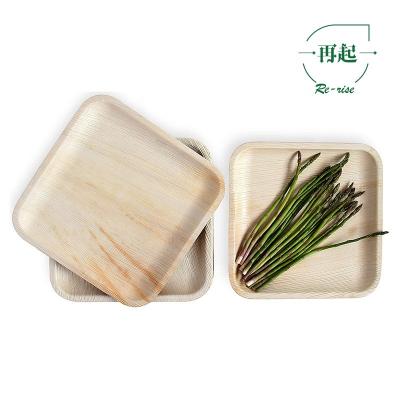 China China Disposable High Quality Best Selling Disposable Square Wooden Dish for sale