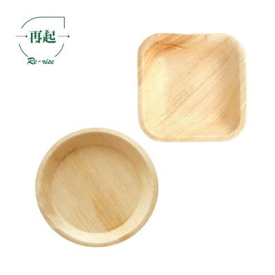 China Disposable Eco-friendly Compostable Cheap Disposable Wooden Birchwood Bowl Dish for sale