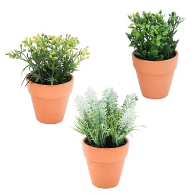 China Cheap Artificial Plastic Potted Grass Indor Decoration Plant Artificial Flowers Plant In Indoor Or Outdoor Ceramic Pot for sale