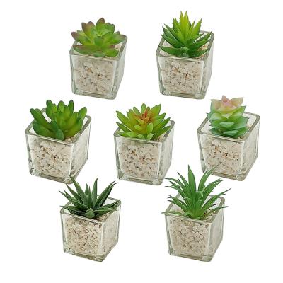 China Small Glass Cube Artificial Succulent Plant Potted Succulent Set Eco - Friendly Mini for sale