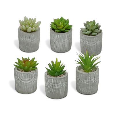 China New Eco-Friendly Artificial Succulent Set, Matching Decorative Faux Succulent, Potted Succulents with Mini Cement Pot Artificial Succulent for sale