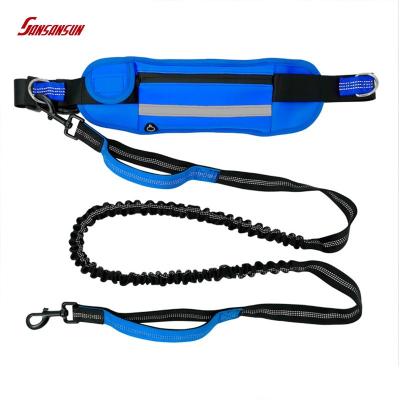 China 2021 Hot Sale Nylon Reflective Dog Leash And Retractable Dog Leash For All-season for sale