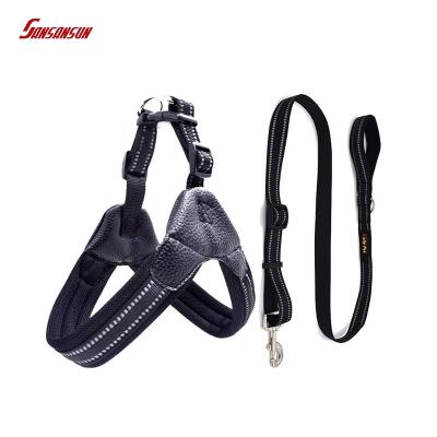 China Factory Supply Viable Nylon and Leather Dog Harness and Lead Set and Dog Harness Leash Set for sale