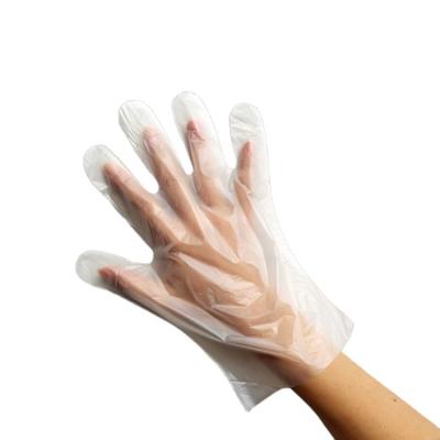 China Hot Selling Biodegradable Household Pla Cleaning Disposable Gloves Eco - Friendly for sale