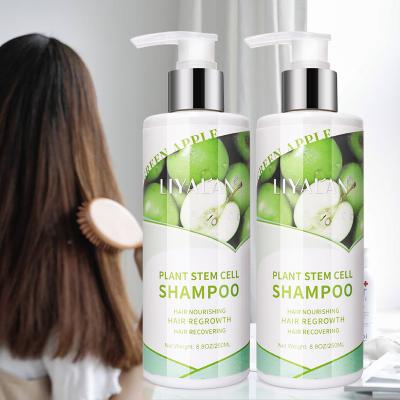 China Best Color-Protecting Moisturizing Anti Hair Loss Repair Nourishing Natural Organic Hair Growth Shampoo for sale