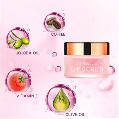 China Other OEM Custom Natural Organic Lip Care Exfoliating Private Label Pink Sugar Lip Scrub for sale