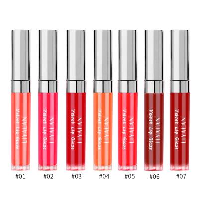 China Fashion Private Label Vegan Lip Gloss Waterproof Matte Liquid Lip Gloss Waterproof Lip Gloss for sale