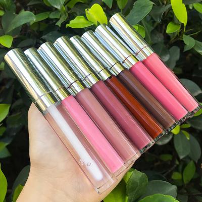 China Private Label Waterproof Logo Natural Lipgloss Custom 8 Colors Matte Liquid Lipstick Makeup Clear Lip Gloss for sale