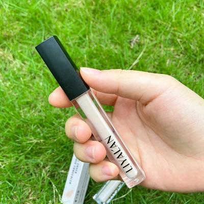 China Moisturizer Private Label Cosmetics Foundation Makeup Matte Full Coverage Concealer Liquid Stick for sale