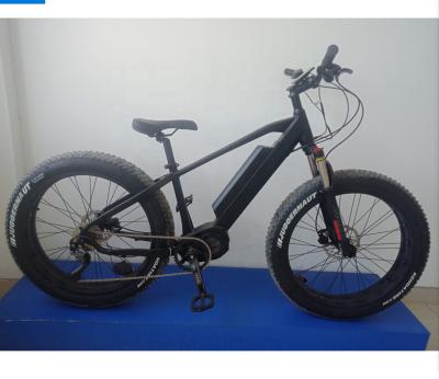 China big steel ebike for sale