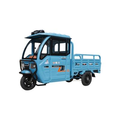 China New Top Sale Foldable Adult Passenger Type Closed Used Electric Tricycle for sale