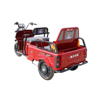 China Best Selling Passenger Goods Using Closed Delivery Electric Passenger Tricycle For Adults for sale