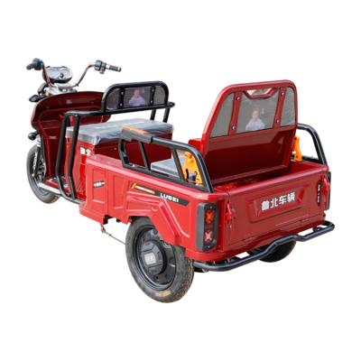 China Hot Sale Mini Electric Tricycle Passenger Carrier Good Quality Hydraulic Passenger Brack for sale