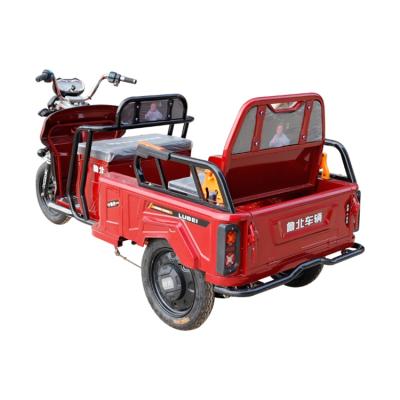 China New Price Adult Electric Delivery Tricycle Passenger Bargain Type Passenger And Cargo for sale