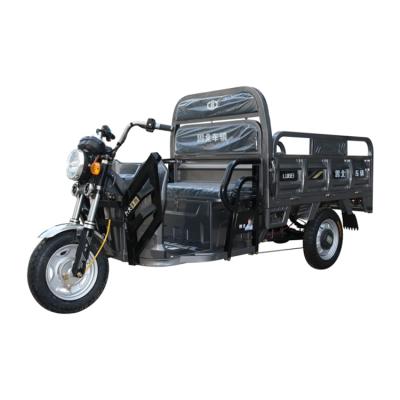 China Promotional Good Quality Passenger Caravan Tricycles For Children Electric For Adults Small for sale