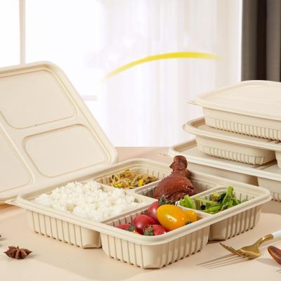 China 3/4/5 Compartment Biodegradable Disposable Tableware Package Sushi Eco-friendly Takeout Box In Stock Cornstarch Bento Lunch Box for sale