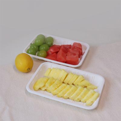 China Eco-Friendly Disposable Lid Biodegradable Disposable Sealable Biodegradable Foam Trays Custom Made Biodegradable Foam Meat Cornstarch Lunch Food Plastic Tray for sale