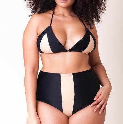 China Designer Breathable Split Swimsuit Big Size Lady Matching High Waist Bikini Plus Size Swimsuit For Fat Women for sale